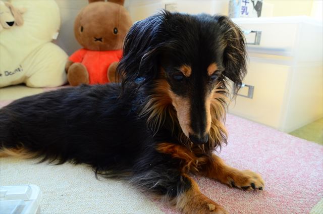 ふふ、なんか落ちてる？