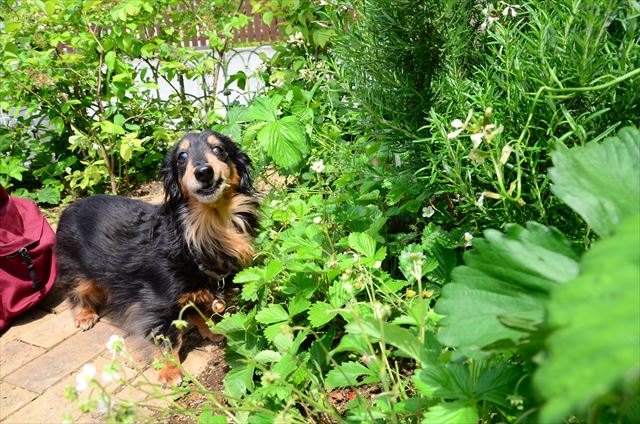 美味しいね。楽しいね。ご機嫌だね！