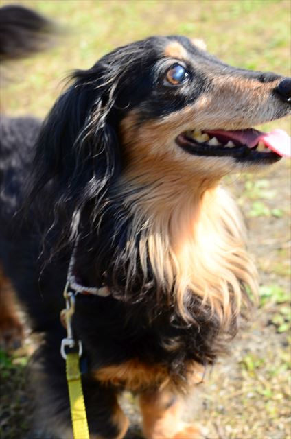 この笑顔。私を元気にしてくれたこの笑顔。