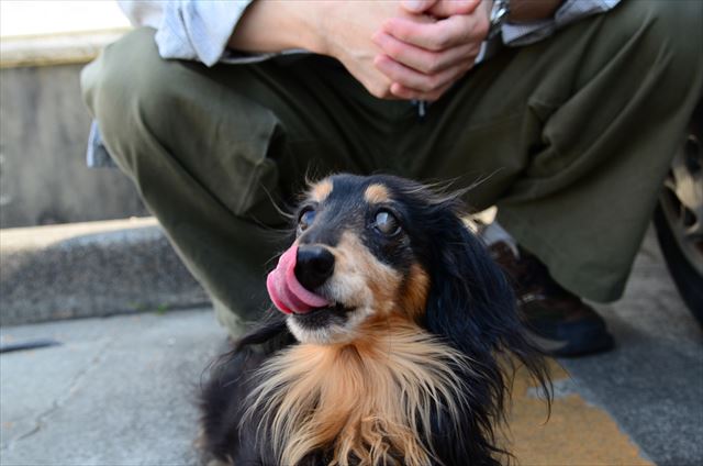 papa帰ってきてご満悦。