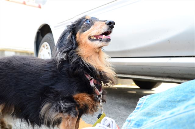 いつも笑顔で。私もルパンみたいにいつでも笑顔で。