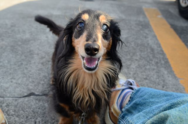 よく遊んだね。楽しかったね。