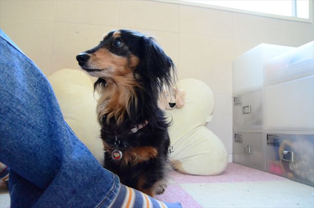 ありがとね、いつも一緒にいてくれてありがとね。