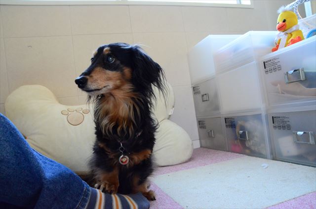 ルパンのぬくもり、今でも覚えてるよ。