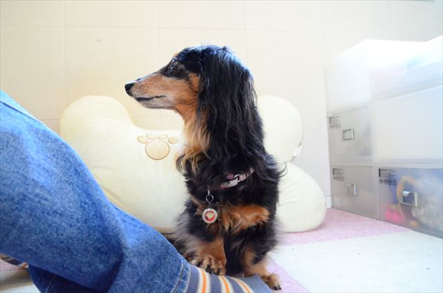 ねえねえ・・な～に？