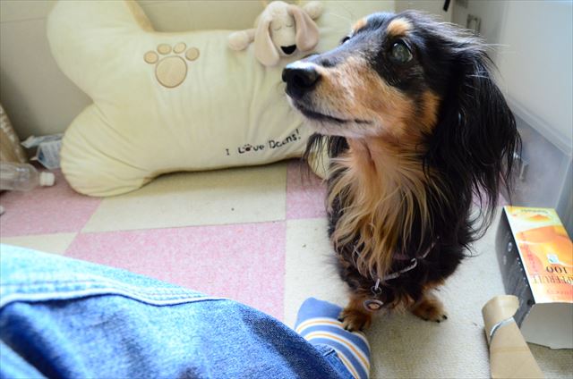 紙パックにおやつ。上手に出せたのね。おかわりなのね。