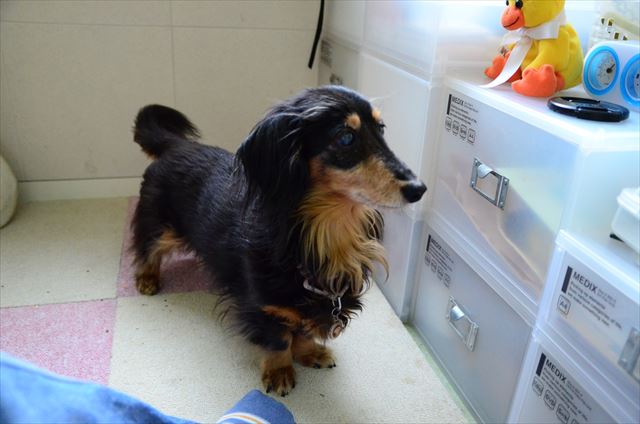 次は何して遊ぶ？