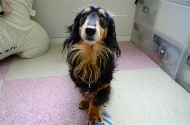 ずっと一緒だったよね。今でもそうだよね。