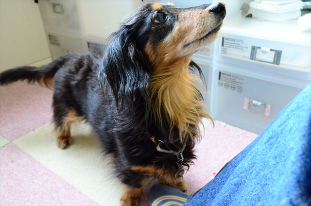 うんうん、もっともっと遊ぼうよね。