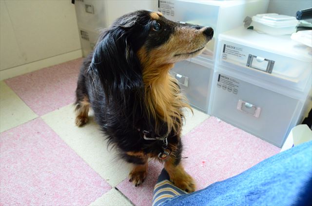 「トントン♪」