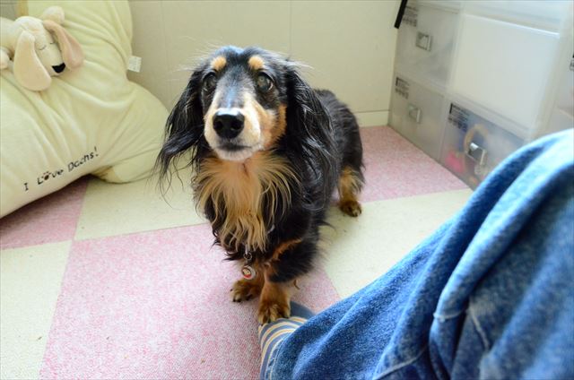 ルパンのぬくもり、忘れないよ。