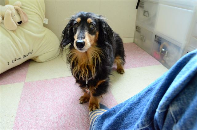 ルパンと遊ぶの楽しいな。親友だよね？私たち。