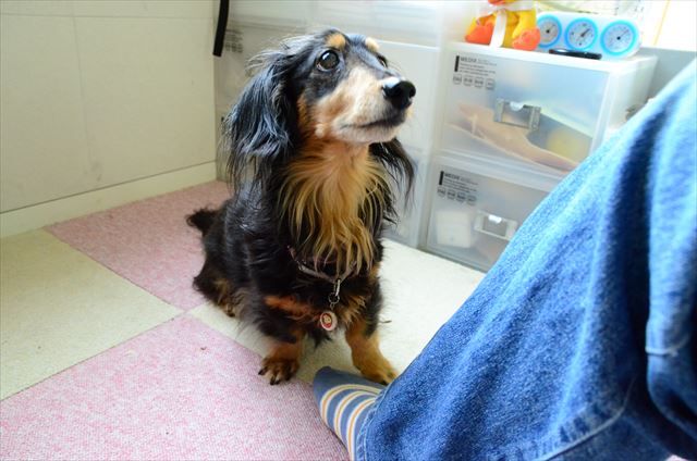 ルパンに会いたいな。でもきっとそばにいるよね。