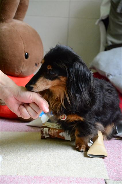 どっちに入ってる？