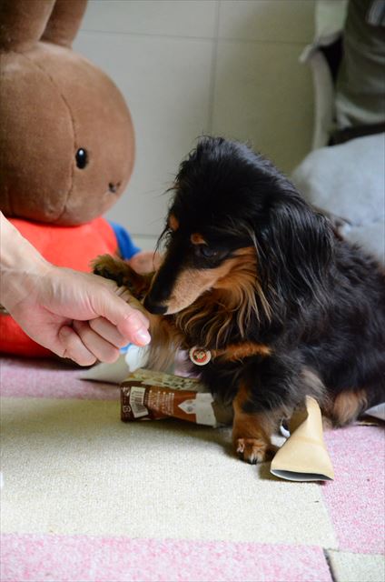 ルパンはいつもそばにいるってわかったから、寂しくないよ。幸せだよ。