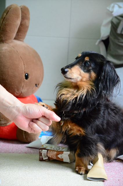 なんでこんなにかわいいんだろうな。