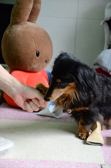 どっちに入ってる？