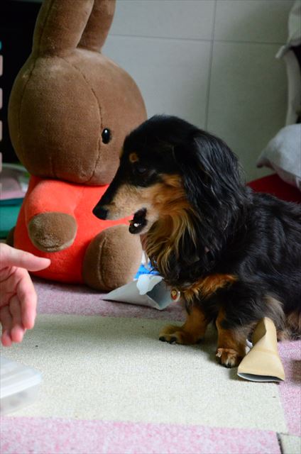 美味しかった？楽しかった？