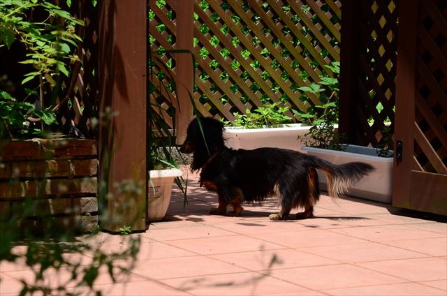 ひとりで大丈夫？