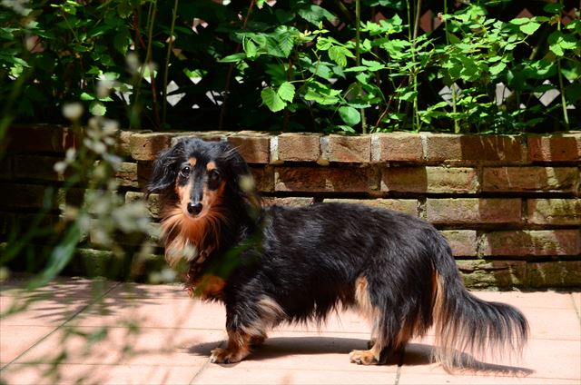 いるよ。ここにいるよ。大丈夫だよ。