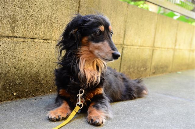 暑かったねぇ。お腹冷やしてひと休みだね。