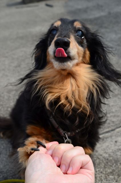 ・・こっち！！