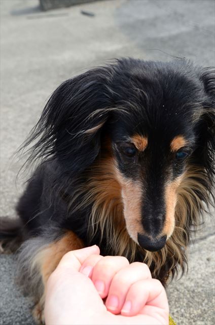 どっちに入ってる？