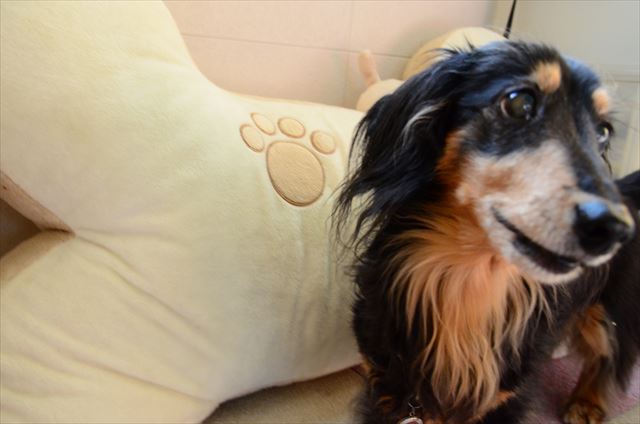 できたよ！の顔。