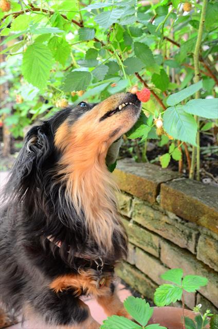 もうちょい。ガンバレガンバレ！