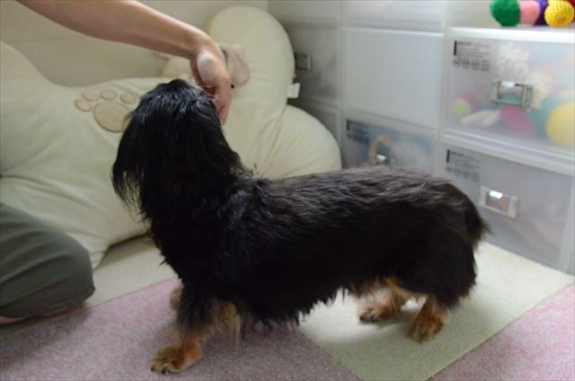 くるくる♪　後ろ姿もかわいい♪