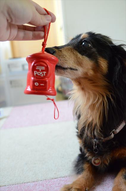 チリンチリン♪　上手だね、上手に鳴らせたね。