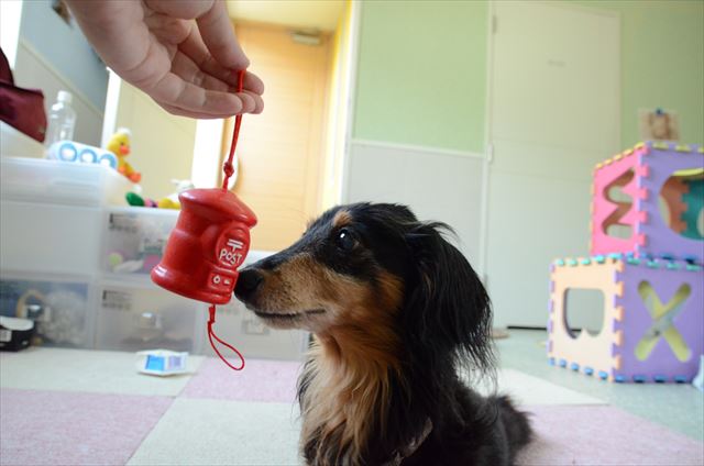 チリンチリン。たくさん練習したね。それが楽しかったよね。