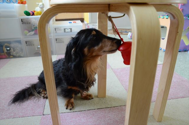 「チリンチリン♪」