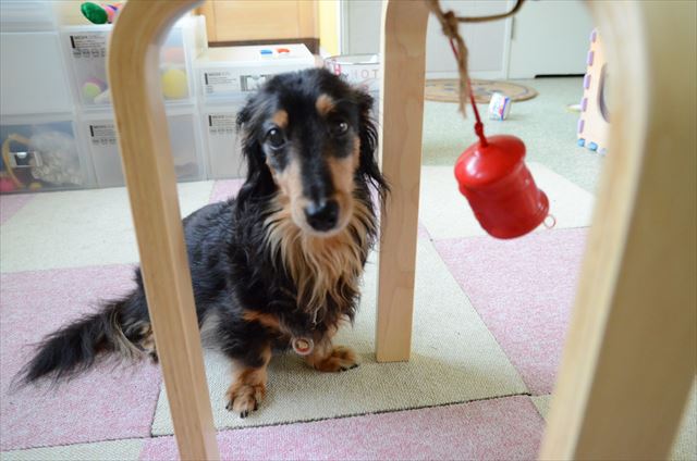 チリンチリン。上手上手♪