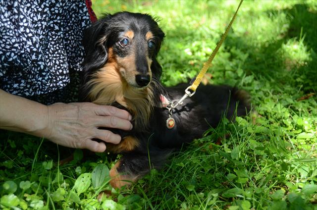 いろんな人にかわいがってもらった。みんなみんなルパンが大好きだった！