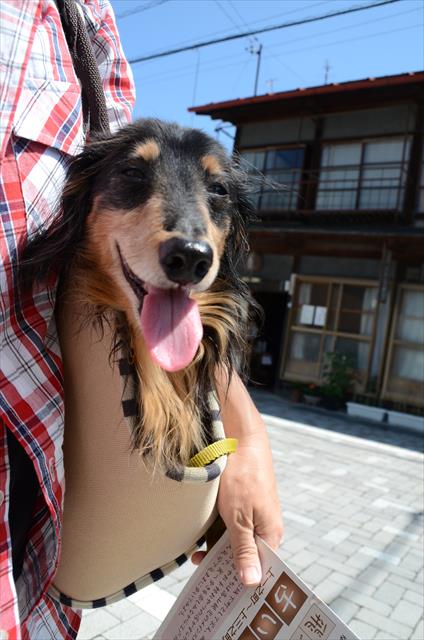 暑い暑い・・。早く涼しいところに行こう行こう！