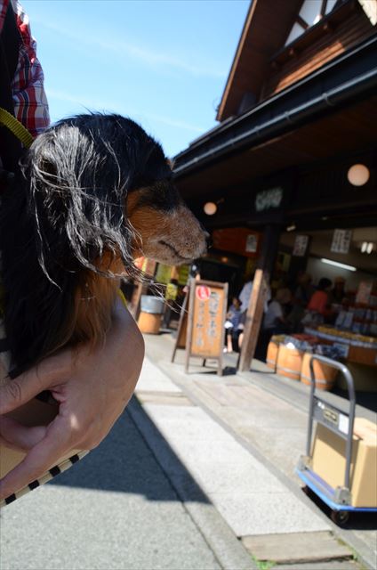 ルパンがいればどこに行っても楽しかった。どこもみんな素敵な町に見えた。