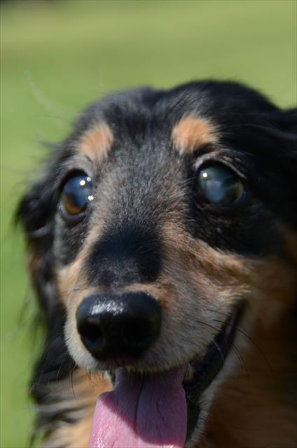 夏のルパン。弾ける笑顔。