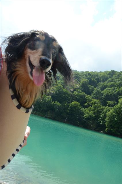 秘境だったよね。湖もルパンの笑顔も。何もかもが輝いてた。