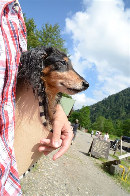 何見てるの？ルパンの視線の先に、私はいつも興味津々だった。