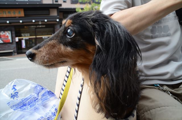 ルパンも大好きだったよね、高山。