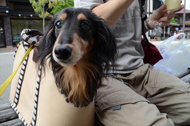 どこに行くのも一緒だった。何をしても楽しかった。