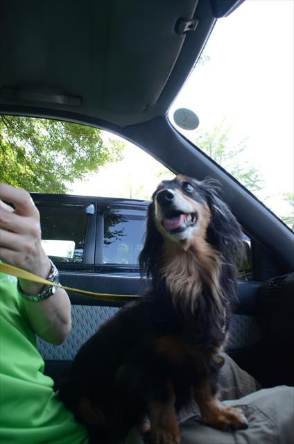 僕にもちょうだい！とうもろこし、ちょうだい！