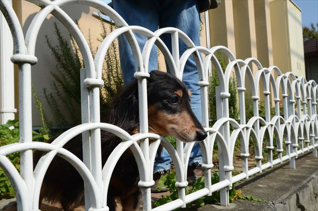 色は変わったけど今でも「ルパンの苺畑」だよ。