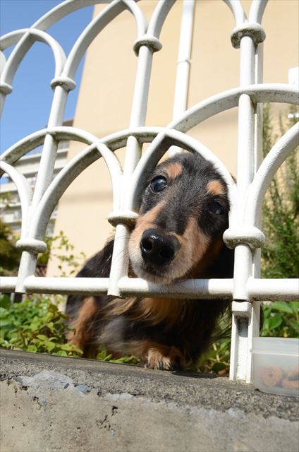 こ・ん・に・ち・わ♪