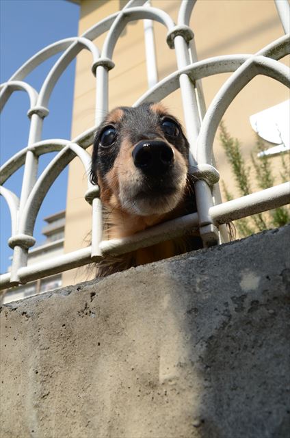 ルパンはいつもそばにいる。８年経ってやっとそう感じられるようになったよ・・
