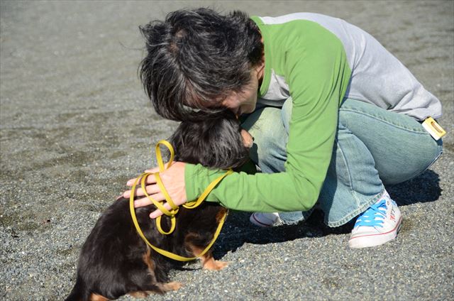 好き好き。ルパン大好き。