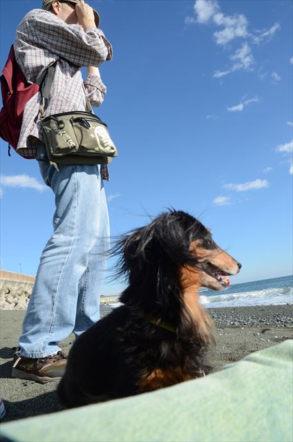 ルパンと最後にでかけた海。奇跡のようにきれいにな空。