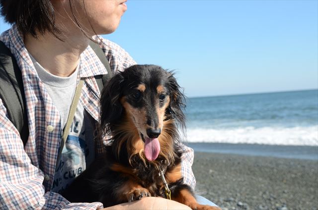 ルパンと最後にでかけた海。忘れられない思い出。